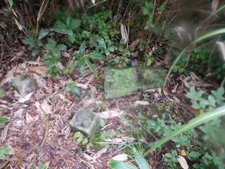 c0359615_08514828.jpg