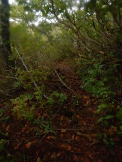 c0359615_08520349.jpg