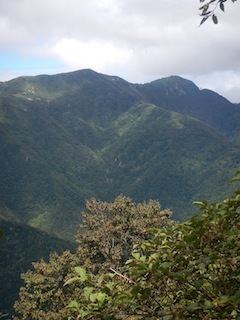 c0359615_08521588.jpg
