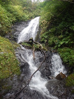 c0359615_08522906.jpg
