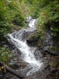 c0359615_08525416.jpg