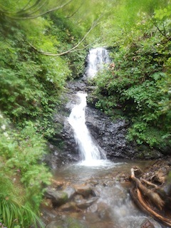 c0359615_08533786.jpg