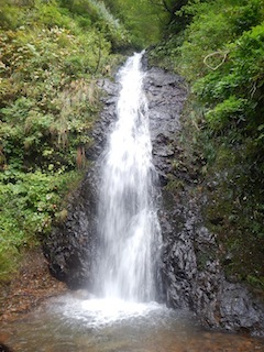 c0359615_08535147.jpg