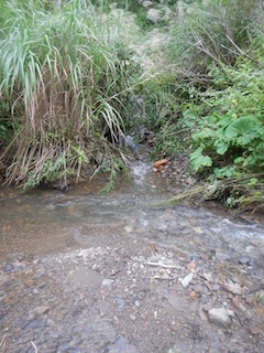 c0359615_08540780.jpg