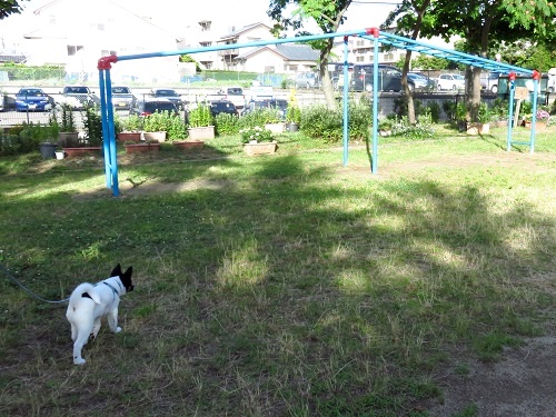 c0084117_2152318.jpg