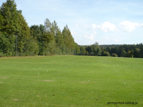 d0144726_6351323.jpg