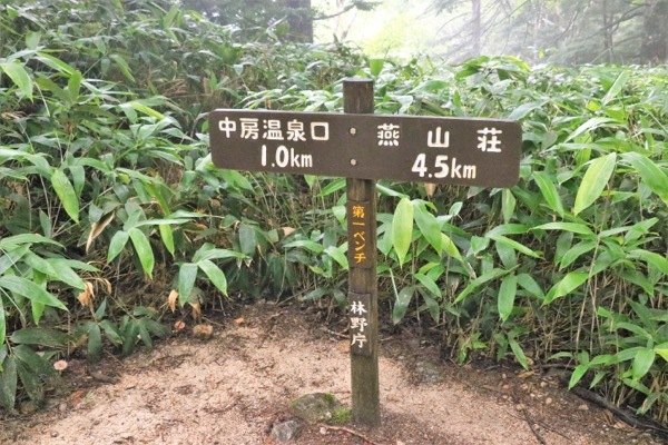 f0018027_08434397.jpg
