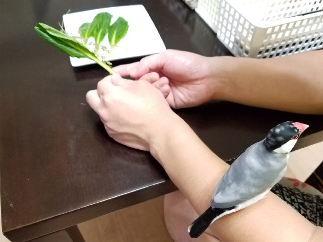 c0365734_21203770.jpg