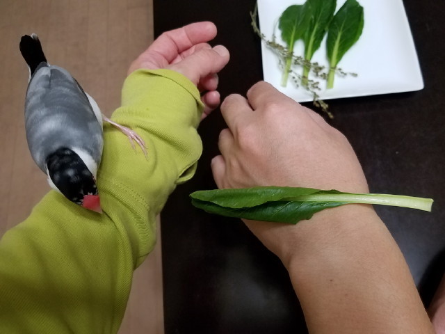 c0365734_21204182.jpg