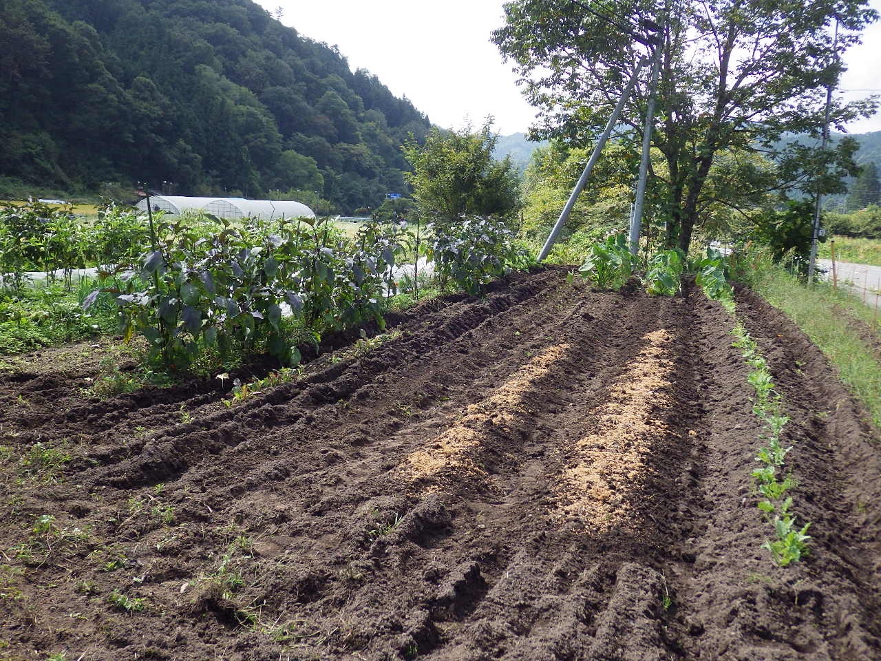 c0300035_13161142.jpg