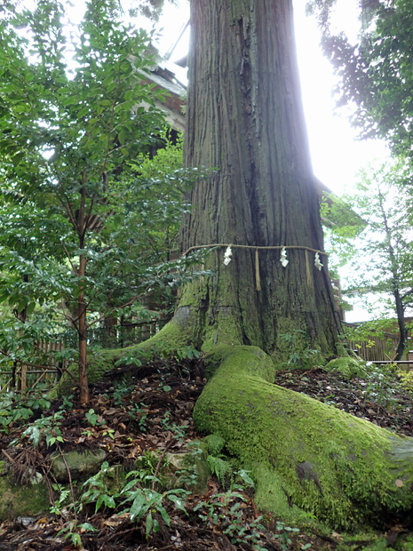f0214649_4492125.jpg