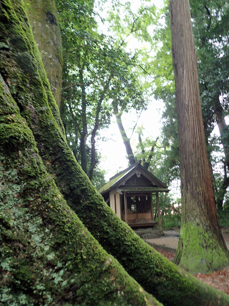 f0214649_4494235.jpg