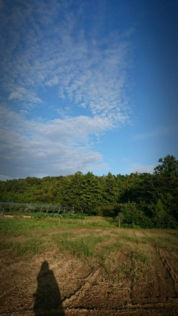 f0043559_00080787.jpg