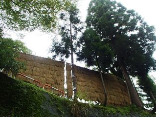b0079965_07204641.jpg