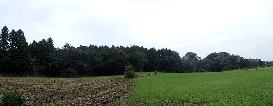 f0131669_20102054.jpg