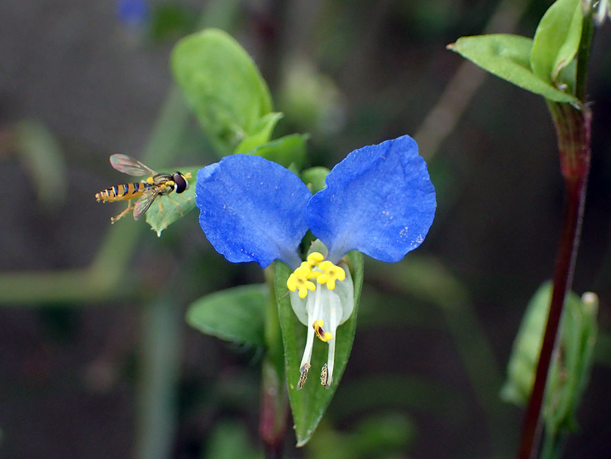 f0131669_20121467.jpg