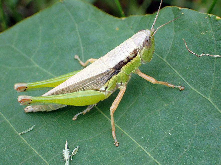 f0131669_2033136.jpg