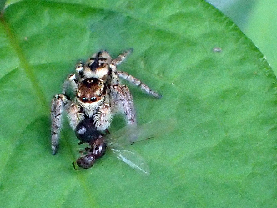 f0131669_20344896.jpg