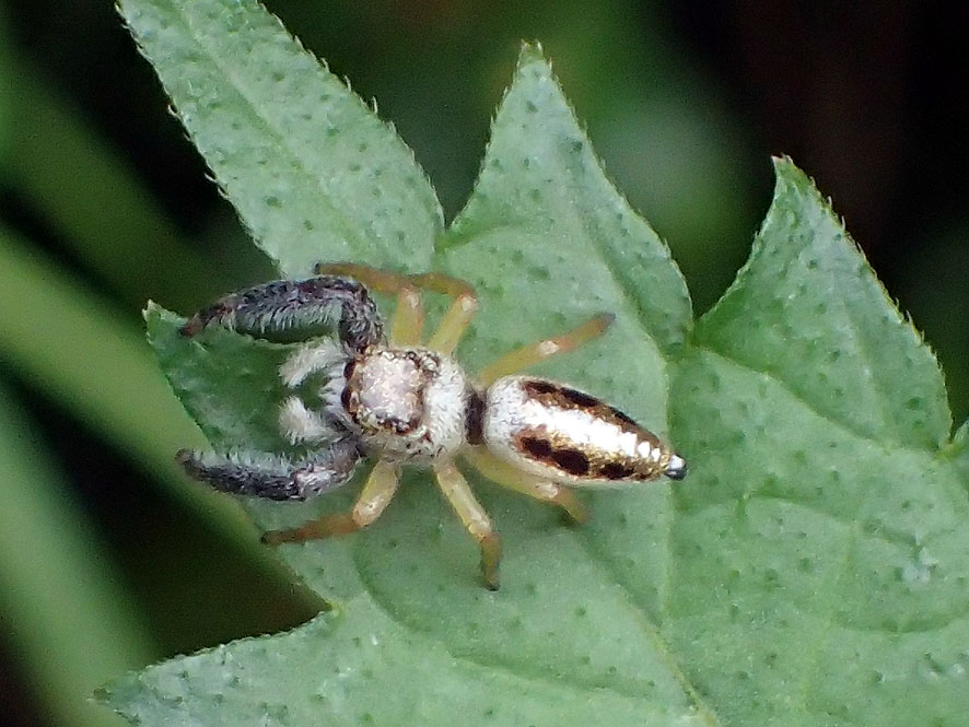 f0131669_2041910.jpg