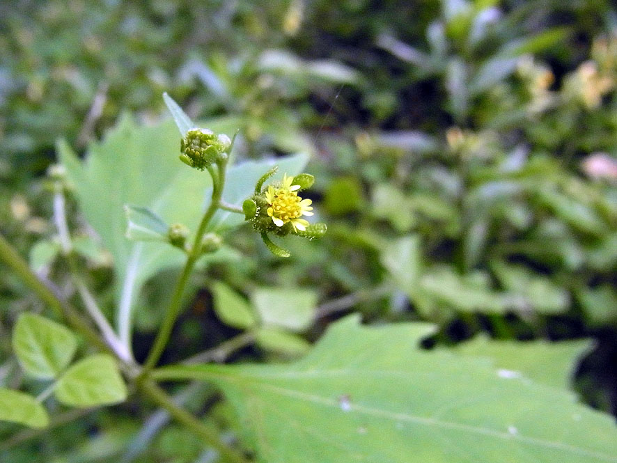 f0131669_20543580.jpg