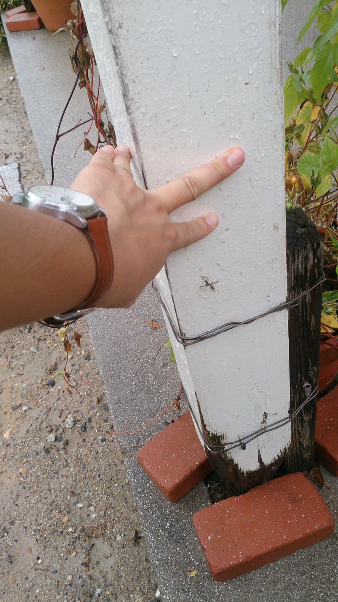 c0002171_6521474.jpg