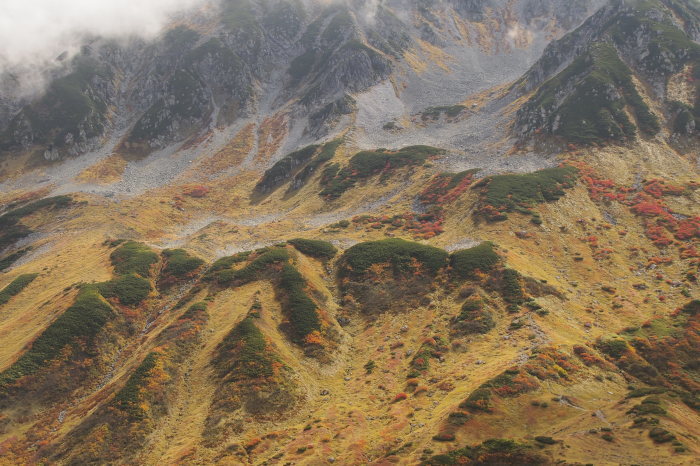 e0307372_21033879.jpg