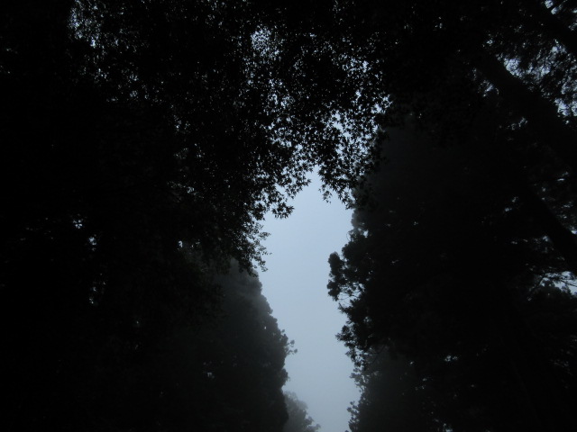 d0109373_17363724.jpg