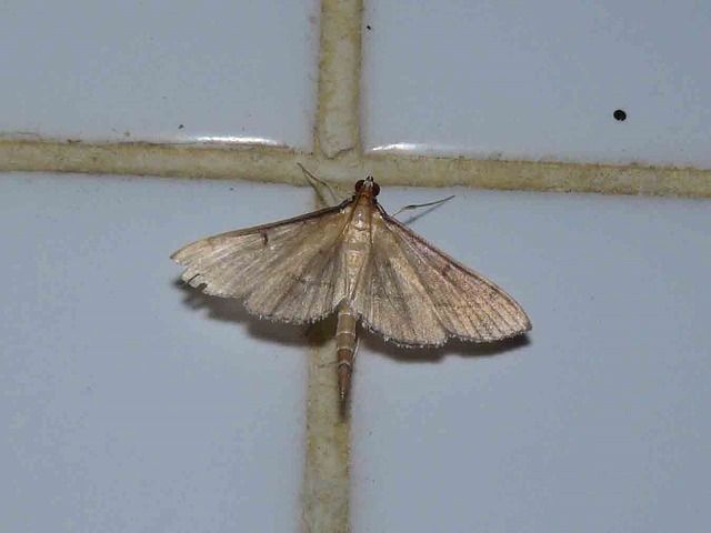d0019074_7193547.jpg