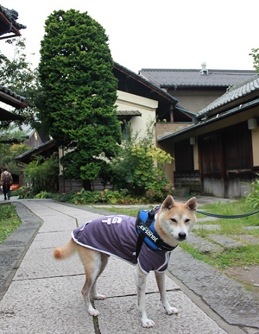 f0230777_12483409.jpg