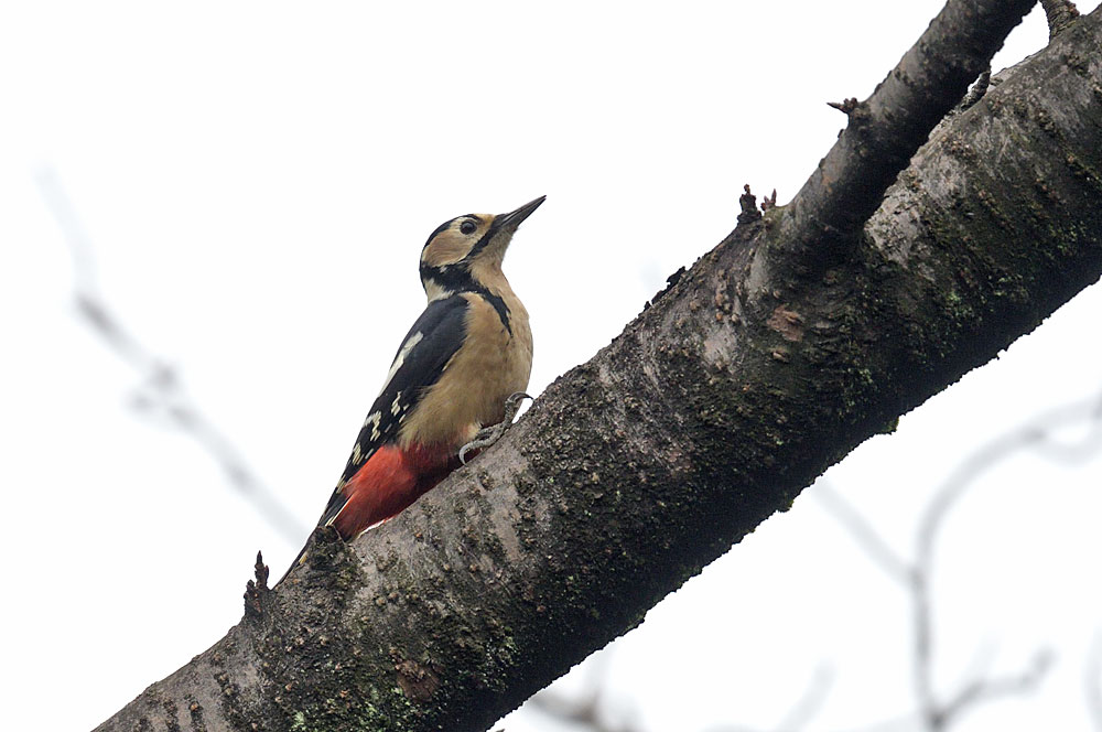 a0035279_2252789.jpg