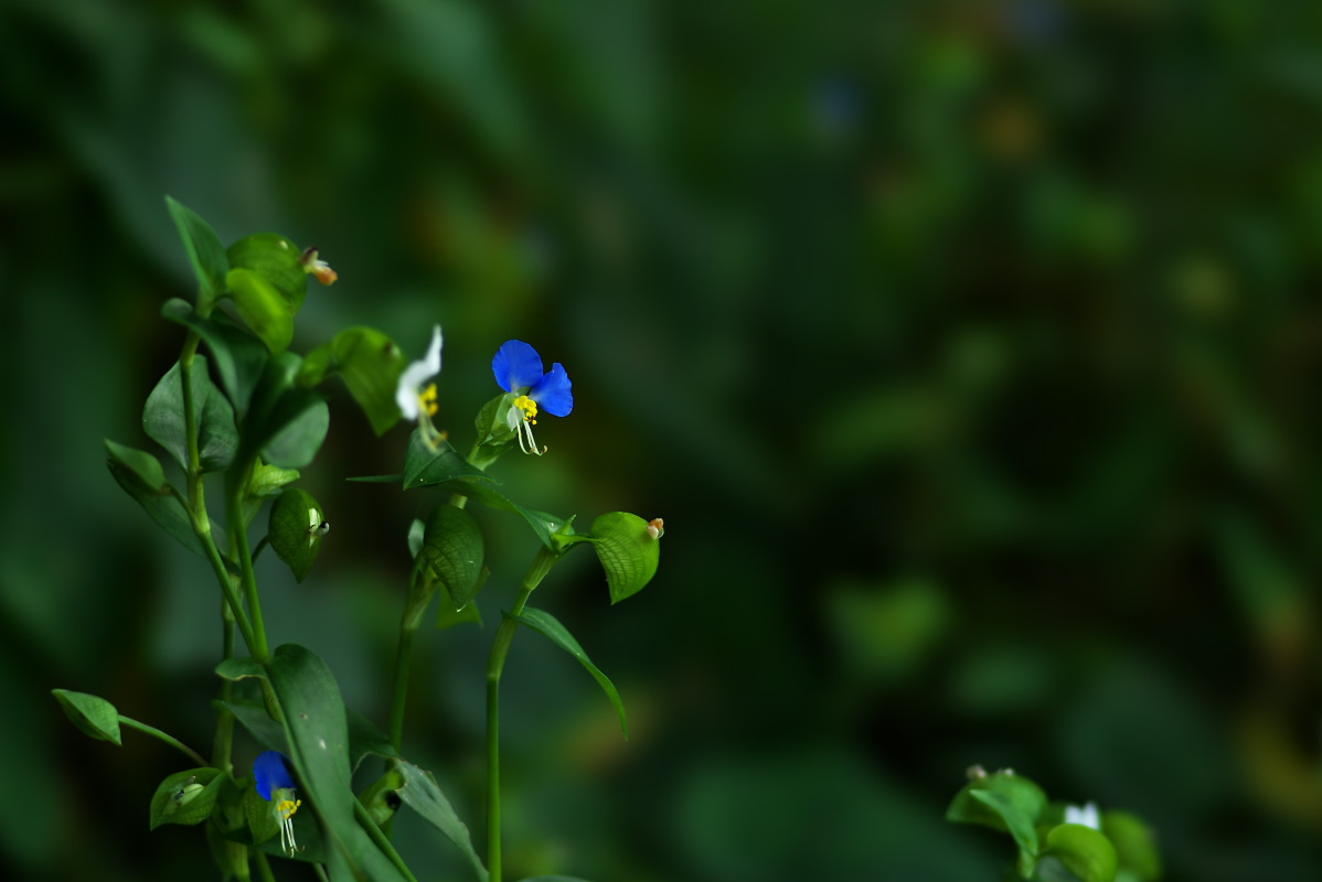 a0083081_21102694.jpg
