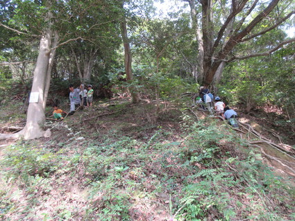 f0053885_2037025.jpg
