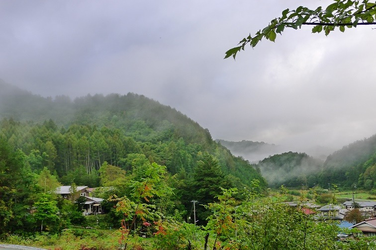 a0130586_8185628.jpg