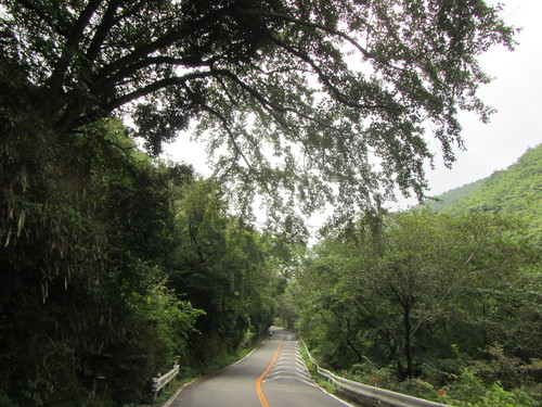 a0251786_19482254.jpg