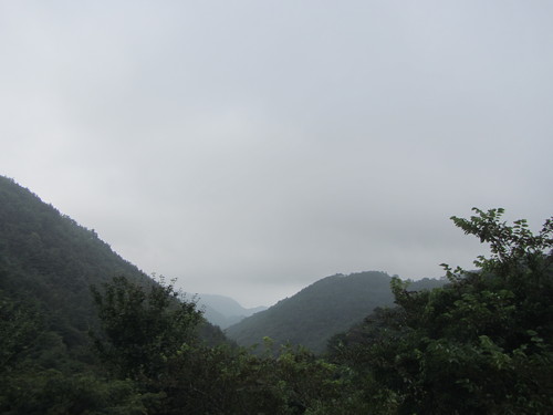 a0251786_19493699.jpg