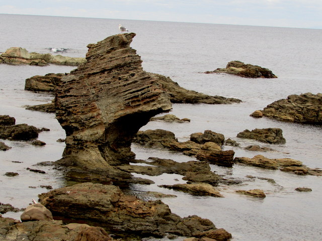 b0203588_8411712.jpg