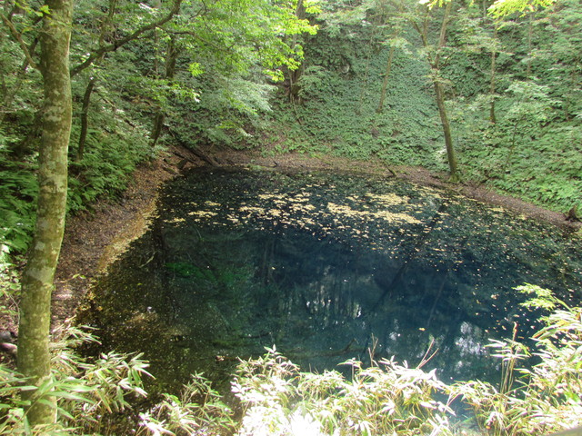 b0203588_842521.jpg