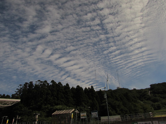 b0203588_8455100.jpg