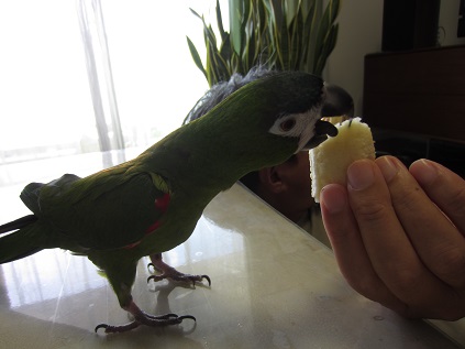 f0234590_1041482.jpg