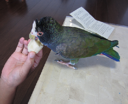 f0234590_104934.png
