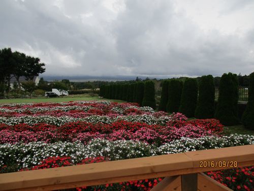 a0225693_21414018.jpg