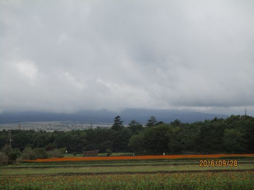 a0225693_21414281.jpg