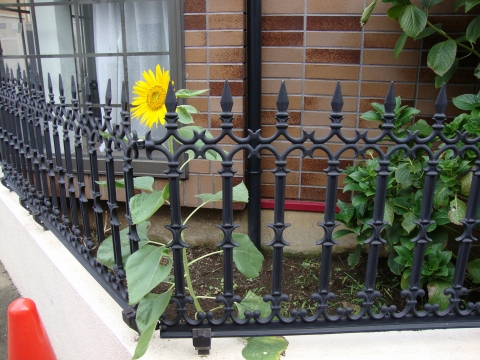 c0322794_9105949.jpg