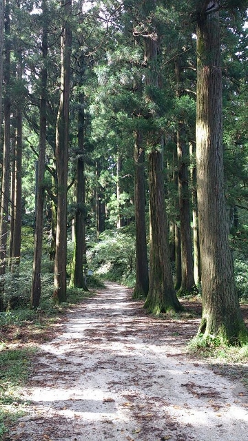 b0039898_1941077.jpg