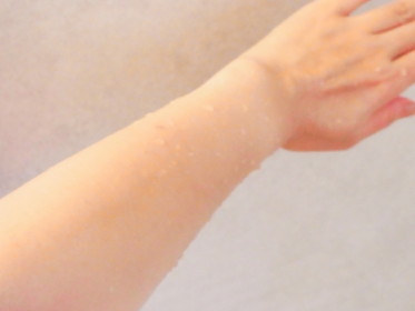 c0172698_1134867.jpg