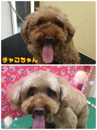d0269898_12045291.jpeg