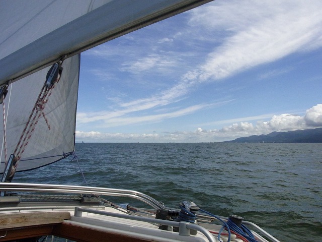 f0157901_19502774.jpg