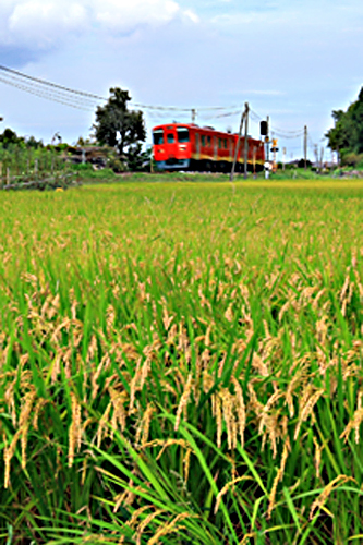 b0014607_18524942.jpg