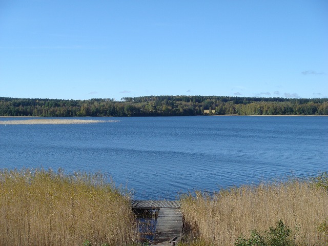 f0188408_14594832.jpg