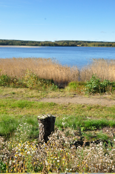 f0188408_1592164.jpg